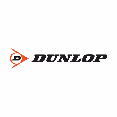 Логотип Dunlop